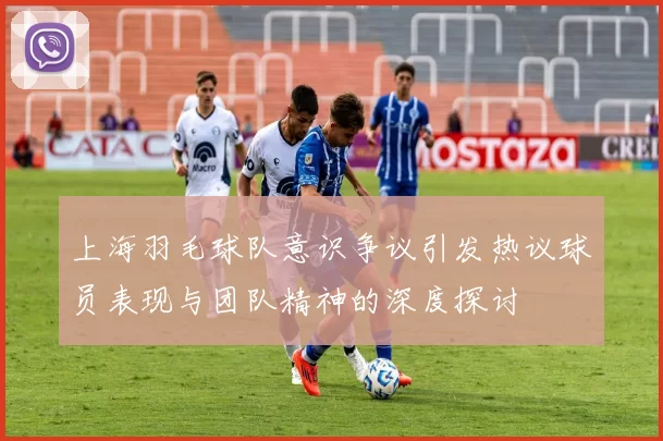 上海羽毛球队意识争议引发热议球员表现与团队精神的深度探讨