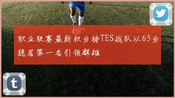 职业联赛最新积分榜TES战队以65分稳居第一名引领群雄