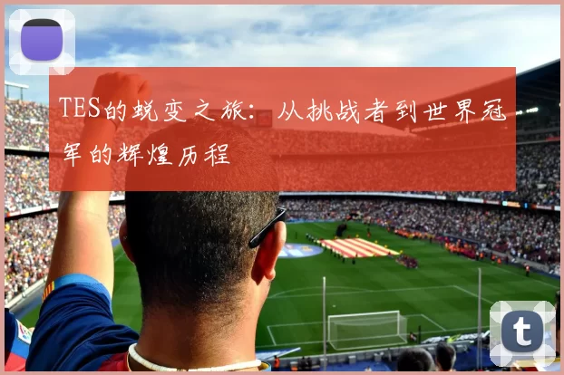 TES的蜕变之旅：从挑战者到世界冠军的辉煌历程