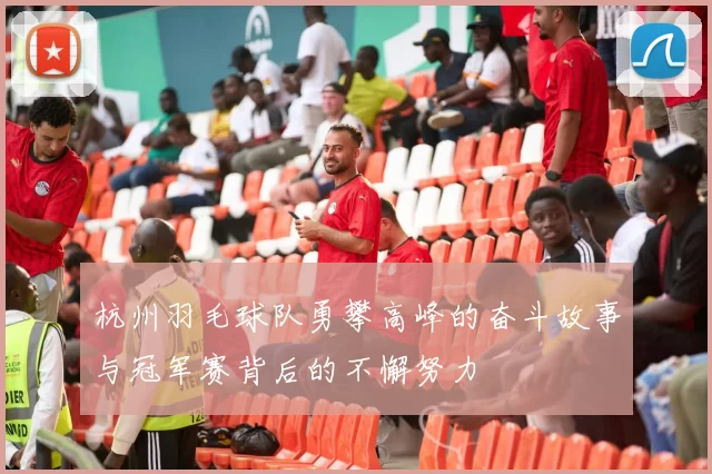 杭州羽毛球队勇攀高峰的奋斗故事与冠军赛背后的不懈努力