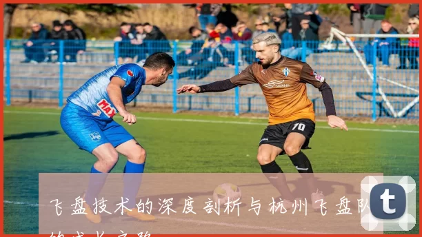 飞盘技术的深度剖析与杭州飞盘队的成长之路
