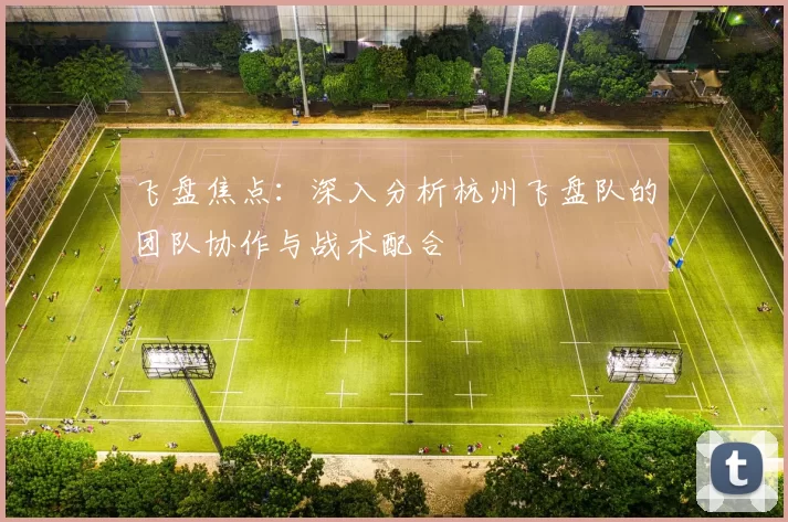 飞盘焦点：深入分析杭州飞盘队的团队协作与战术配合