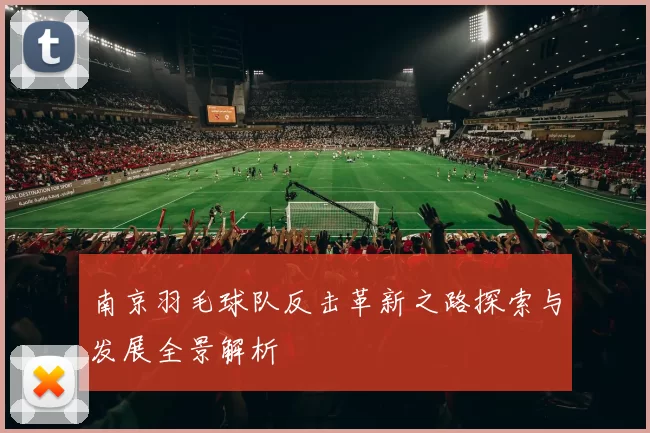 南京羽毛球队反击革新之路探索与发展全景解析