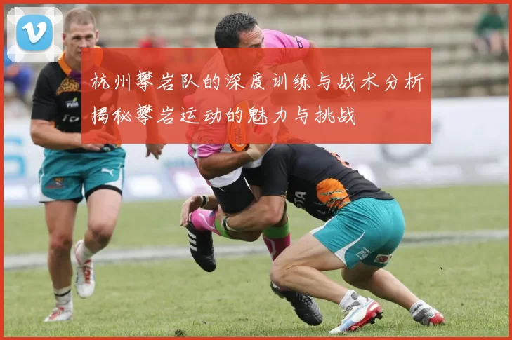 杭州攀岩队的深度训练与战术分析揭秘攀岩运动的魅力与挑战