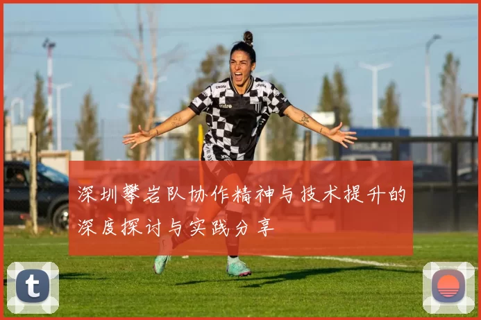 深圳攀岩队协作精神与技术提升的深度探讨与实践分享
