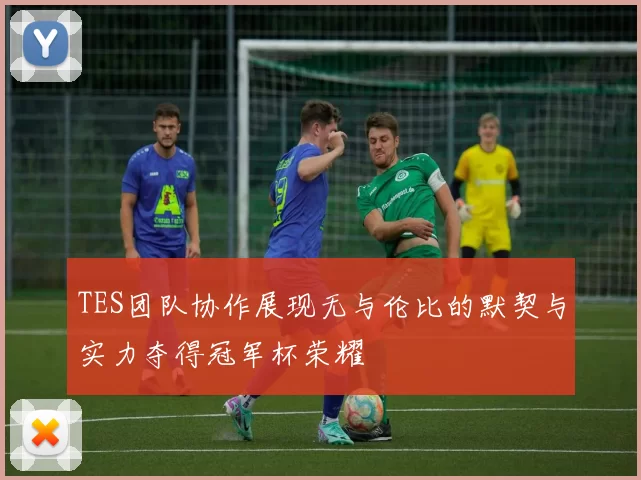 TES团队协作展现无与伦比的默契与实力夺得冠军杯荣耀