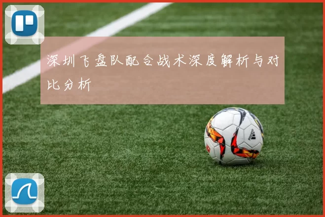 深圳飞盘队配合战术深度解析与对比分析
