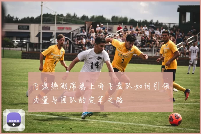 飞盘热潮席卷上海飞盘队如何引领力量与团队的变革之路
