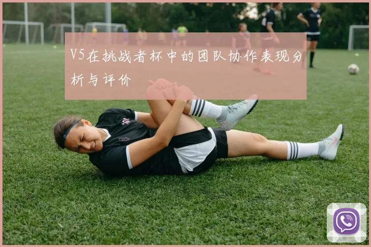 V5在挑战者杯中的团队协作表现分析与评价